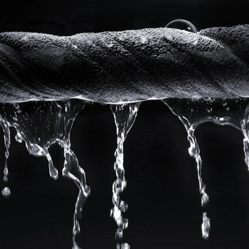 Elevate Your Car Care to Pure Bliss